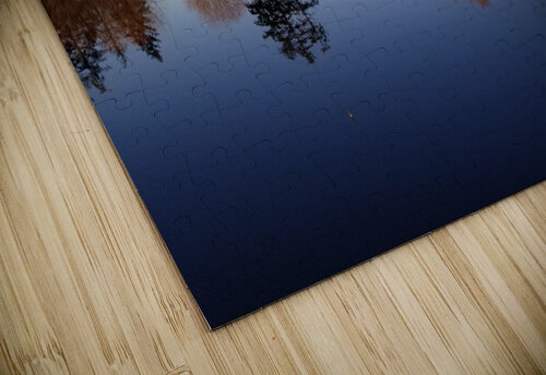 Second Chances earthdawg puzzle