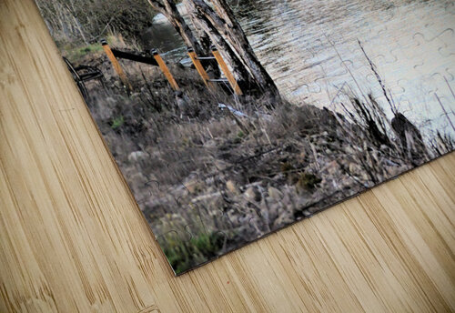 River earthdawg puzzle