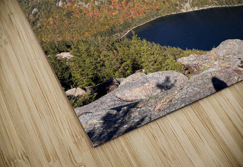 Acadia National Park October 2022 Squil puzzle