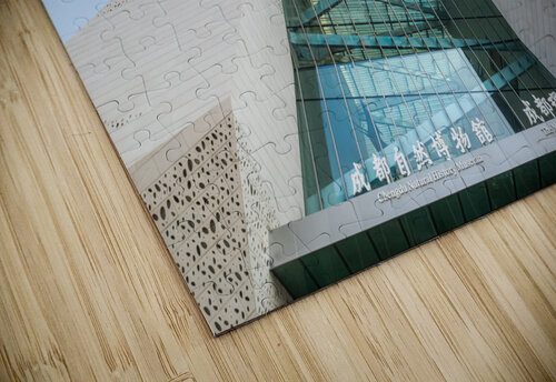 Chengdu Natural History Museum 2 Philippe Lejeanvre puzzle