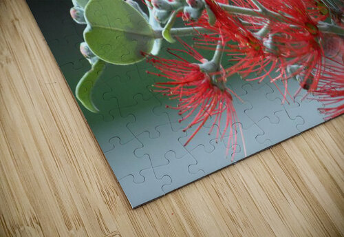 3631 mohamed elabari puzzle