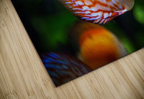 3640 mohamed elabari puzzle