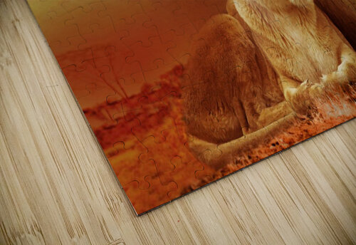 3739 mohamed elabari puzzle