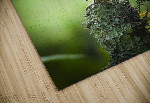 Owl on Perch Kim Stagg puzzle