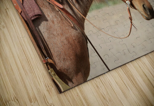 Cow Horse Lucy Carpenter puzzle