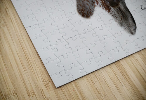 Longhorn Cow With Shadow Carpenter puzzle