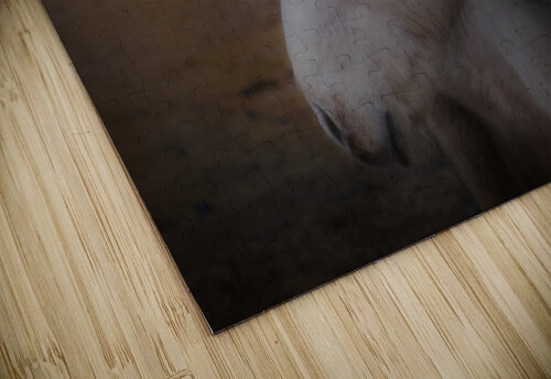 Shaggy Pony In Moonlight Carpenter puzzle