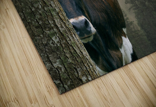 Longhorn Cow In Trees Carpenter puzzle