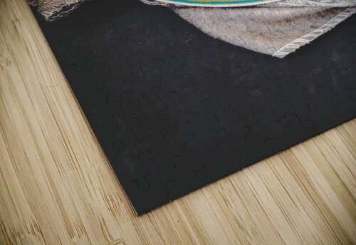 3910 mohamed elabari puzzle