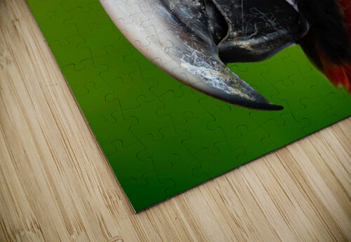 7F95D3C0 81A8 4645 9E33 E8E0E041A368 Magikheart puzzle