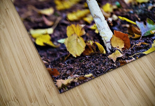 4088 mohamed elabari puzzle