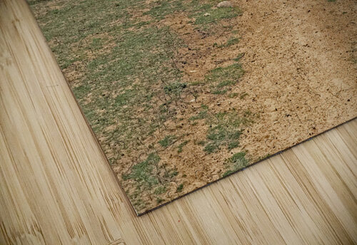 Ladies Walking in Hampi Karnataka India David Rohde puzzle