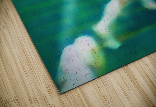 Marcus Dupree First Oklahoma Touchdown Row One Brand puzzle