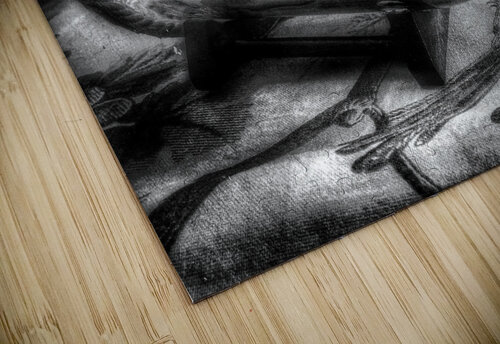 Ship in a Bottle  B&W Light Through Glass puzzle