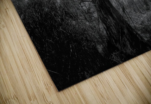 Tree in Field  B&W Light Through Glass puzzle