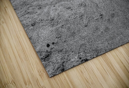 The Beach B&W Light Through Glass puzzle