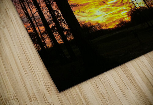 39 IMG 0251 copy Tyler Byun puzzle