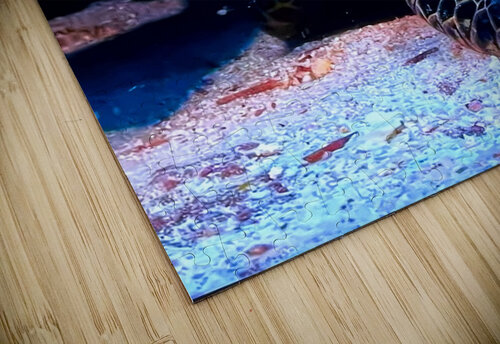 950121BA C5F5 4410 8FFC 79B59F184A2F Magikheart puzzle