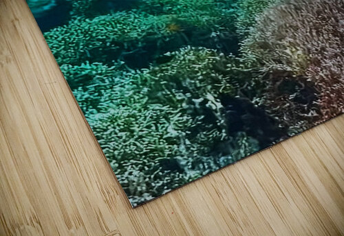 4FA62F86 4961 4717 943D BC42CFB8ABDB Magikheart puzzle