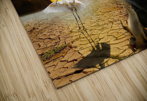 472DBFAE BB62 487D B2F2 66D0C2392099 Magikheart puzzle