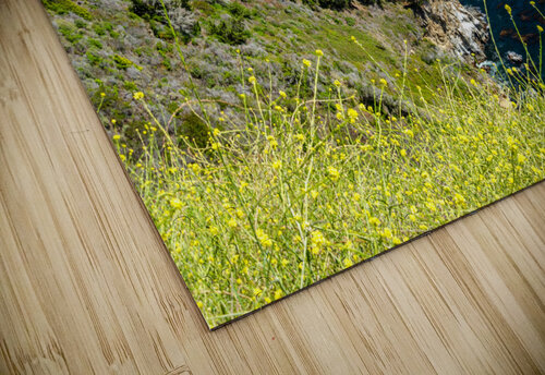 Pacific Coastline caladoart puzzle
