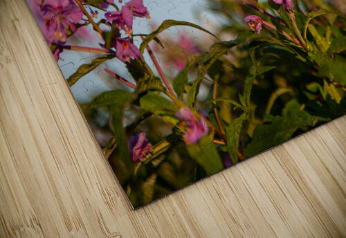 01092020 tirage isadora photo voyage côte nord  1678551943.8116 Isadora Photo Admin puzzle