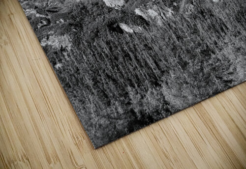 31082020 tirage isadora photo voyage côte nord Isadora Photo Admin puzzle