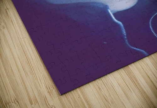 Walking on the razors edge  Christle Lee Stolpman puzzle