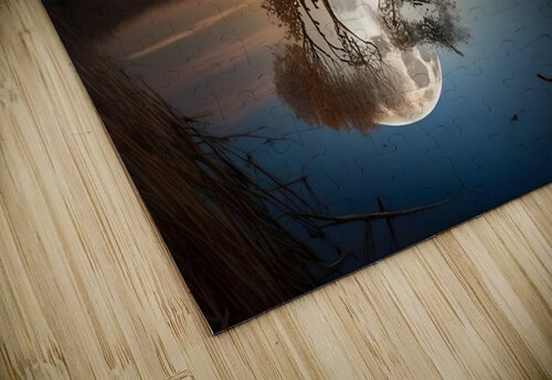 Autumn no.34 draszyr puzzle