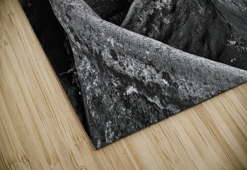 20221027 DSC 7314 Edit bw 16x24 Phillip A Snider Photography puzzle