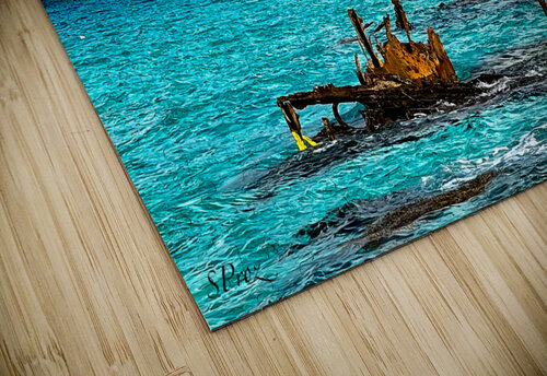 Bimini Storm SProz puzzle