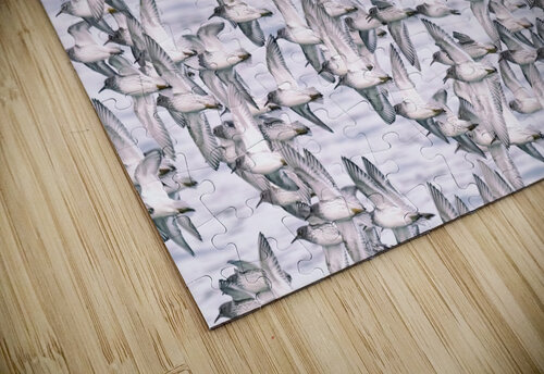 Sandpipers Dave Veith puzzle