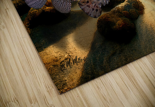 Lionfish Susanne McMillan Art puzzle