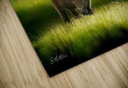 Coatimundi Family Susanne McMillan Art puzzle