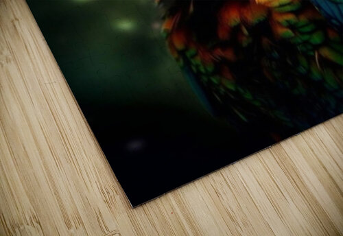 Wild no.55 draszyr puzzle