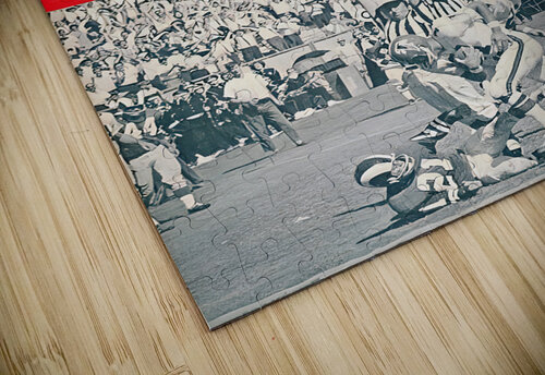 1966 Atlanta Falcons Throwback Art Row One Brand puzzle