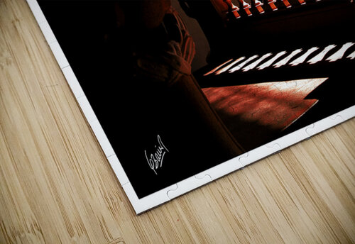 Shadows  Gustavo Bauer puzzle