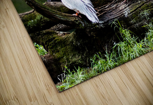 Pelican Hangout SProz puzzle