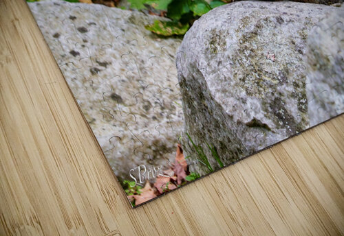 Groundhog SProz puzzle