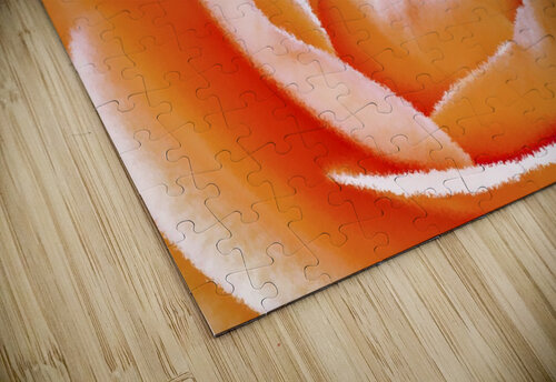 Orange Rose PacificStock puzzle