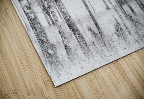 Black and white 1x puzzle