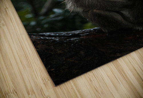 20220610144438  MG 8900 Janak Patel puzzle