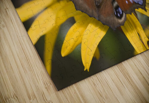 Butterfly (Lepidoptera) PacificStock puzzle