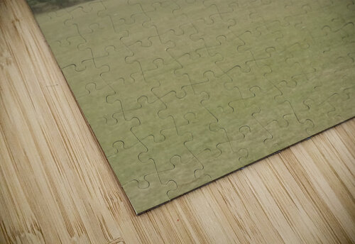 IMG 20220411 132351 Royalty picture puzzle