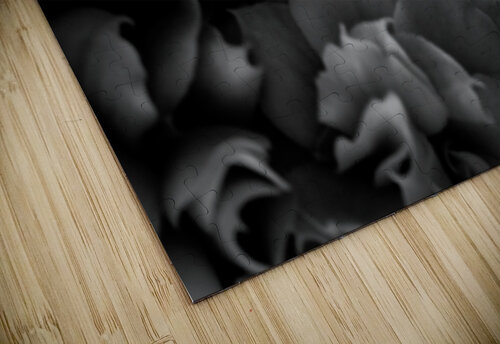 Delicate Folds LunarRise Photography puzzle