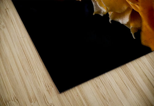 Persimmon Petals LunarRise Photography puzzle