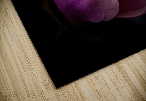 Magnolia Awoken LunarRise Photography puzzle