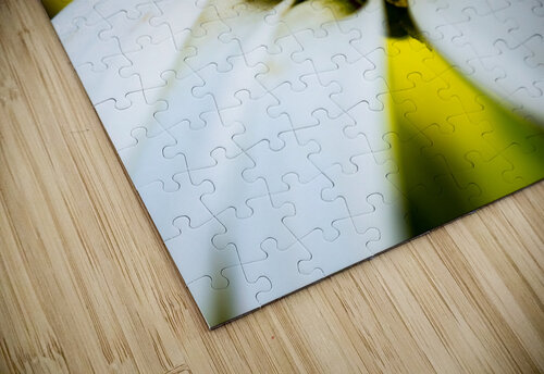 A Bright Spring LunarRise Photography puzzle