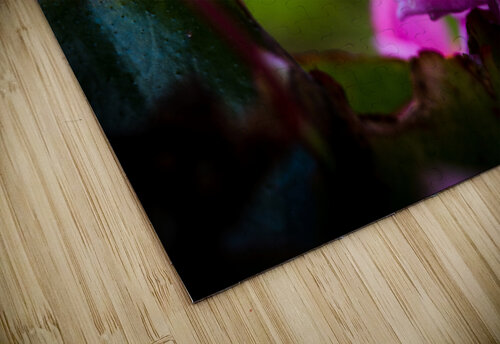 Drop of Green Swath of Pink LunarRise Photography puzzle