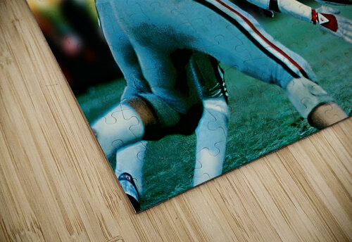 Bo Jackson Run Against Georgia Row One Brand puzzle